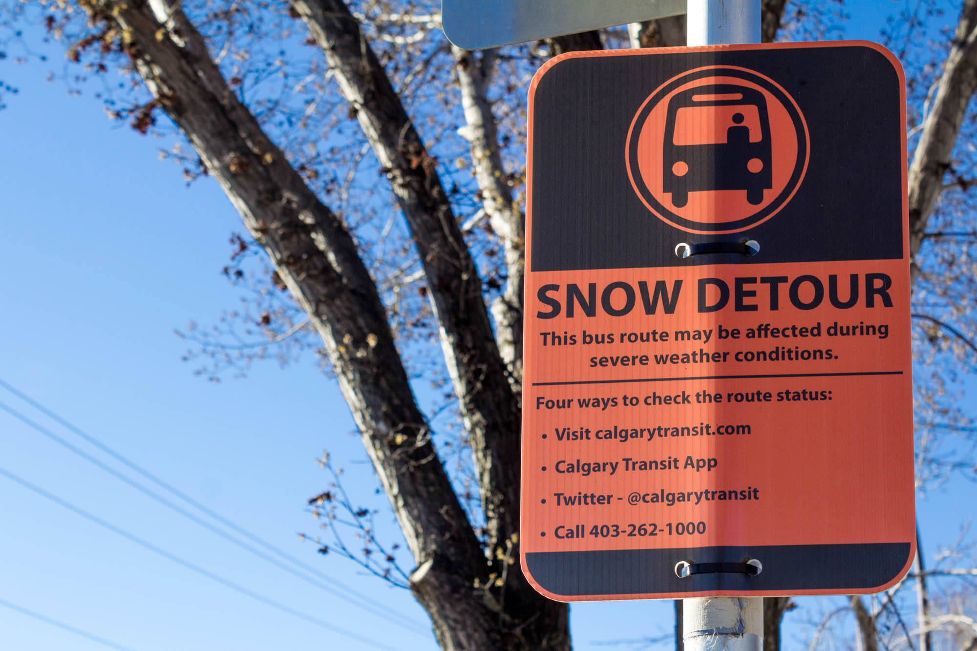 Snow detour bus zone sign